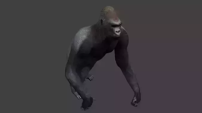 Gorilla Low-poly 3D model