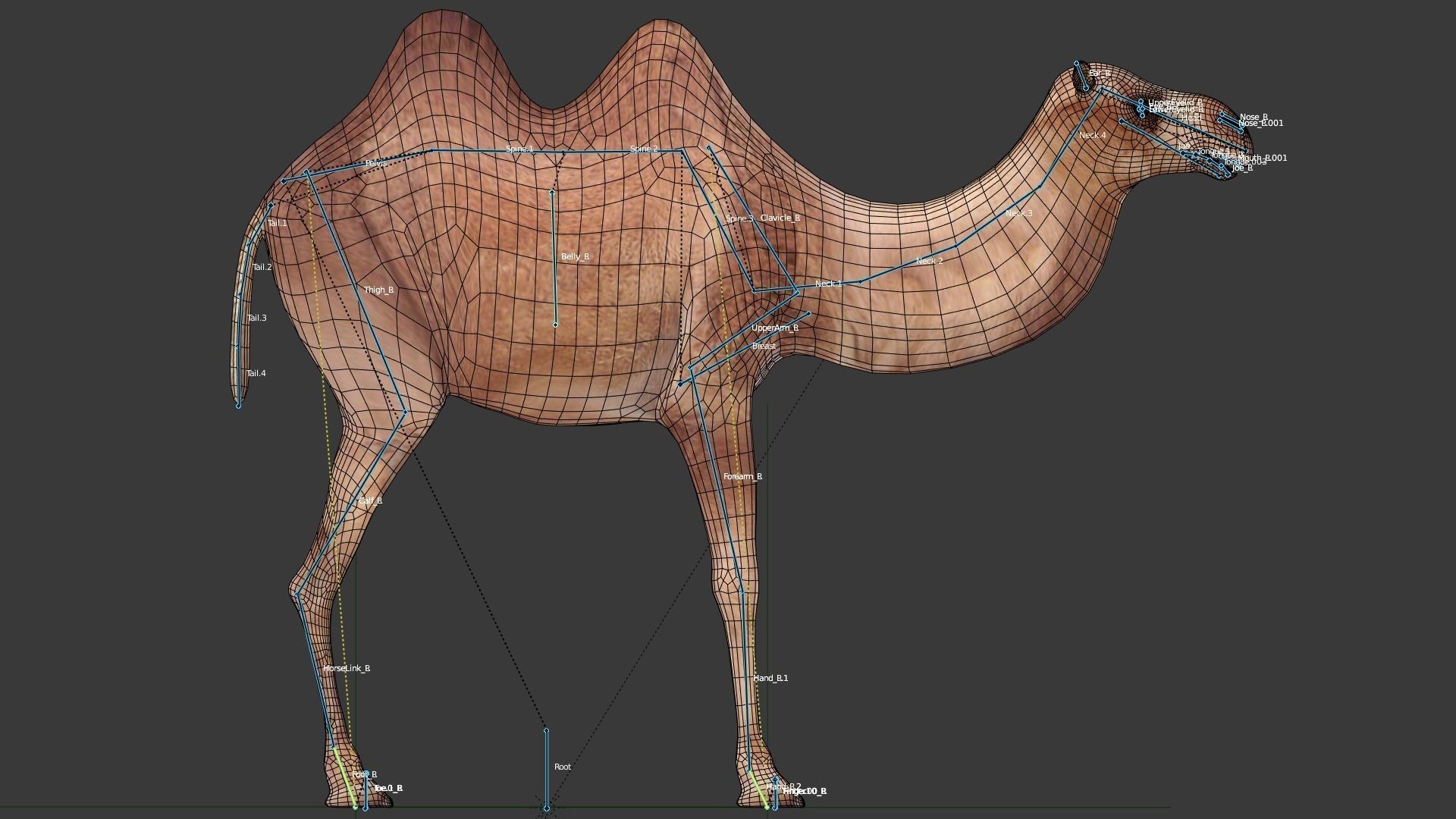 Camel Low-poly 3D model_4