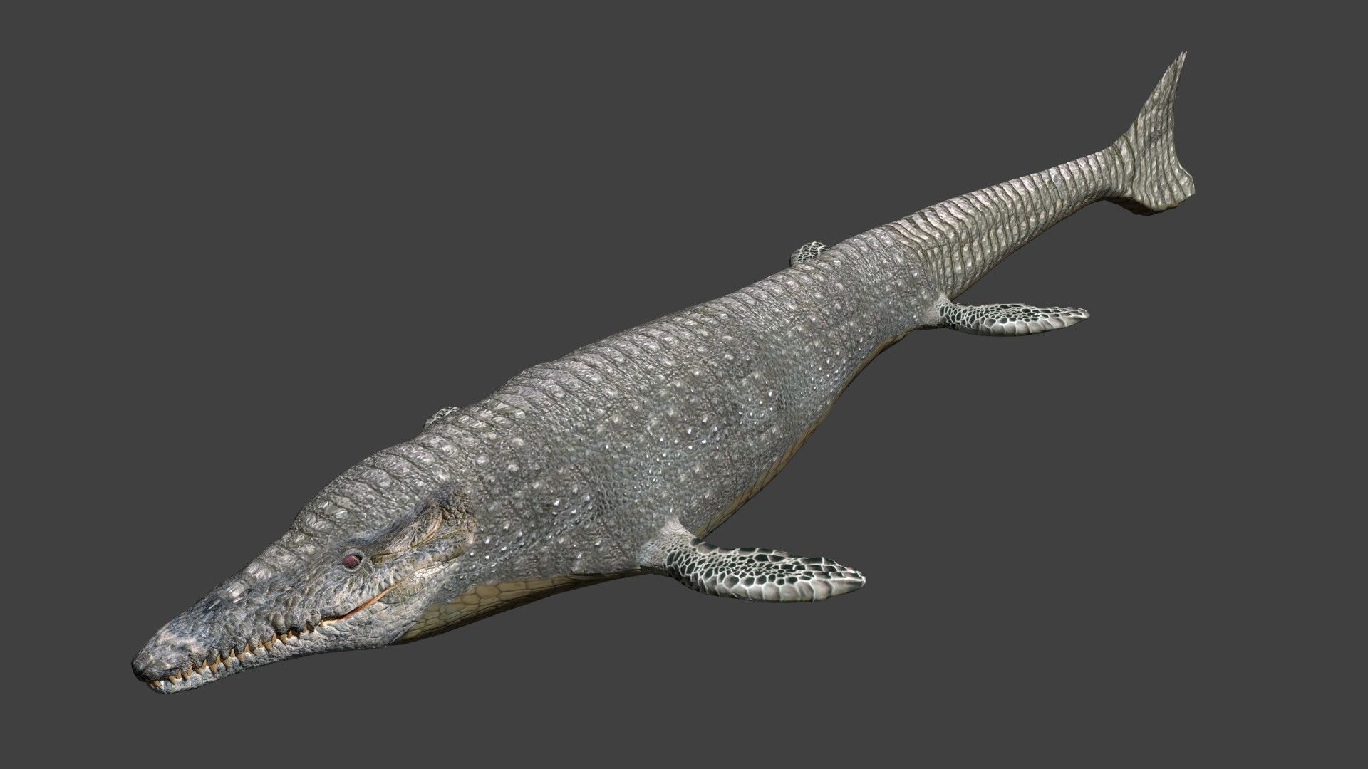 Mosasaurus Low-poly 3D model_3
