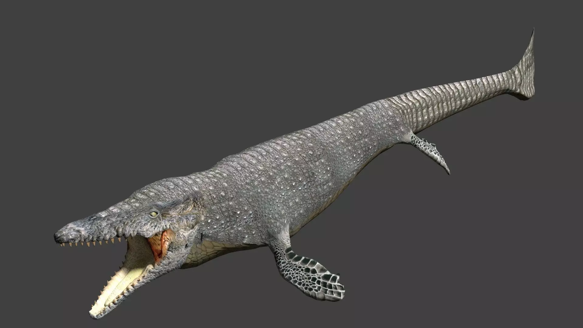 Mosasaurus Low-poly 3D model_0