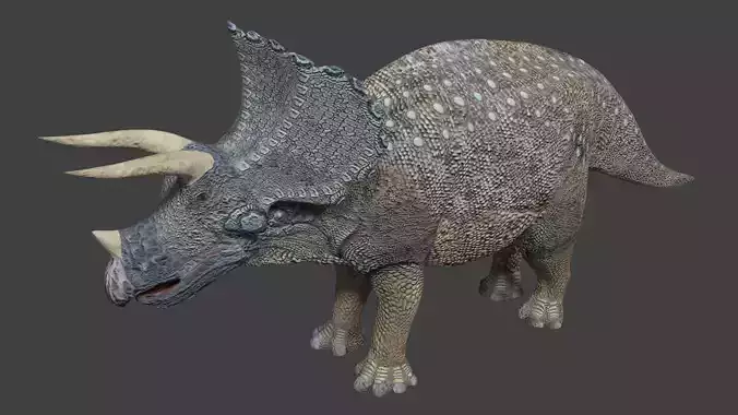 Triceratops dinosaur