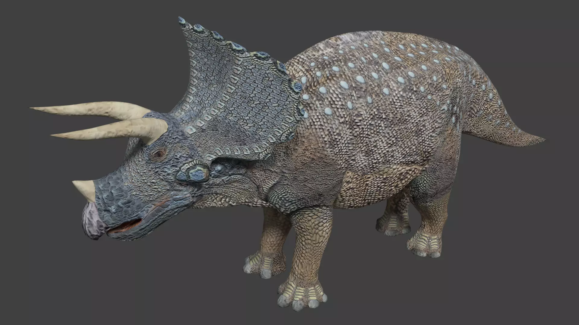Triceratops dinosaur Low-poly 3D model_0