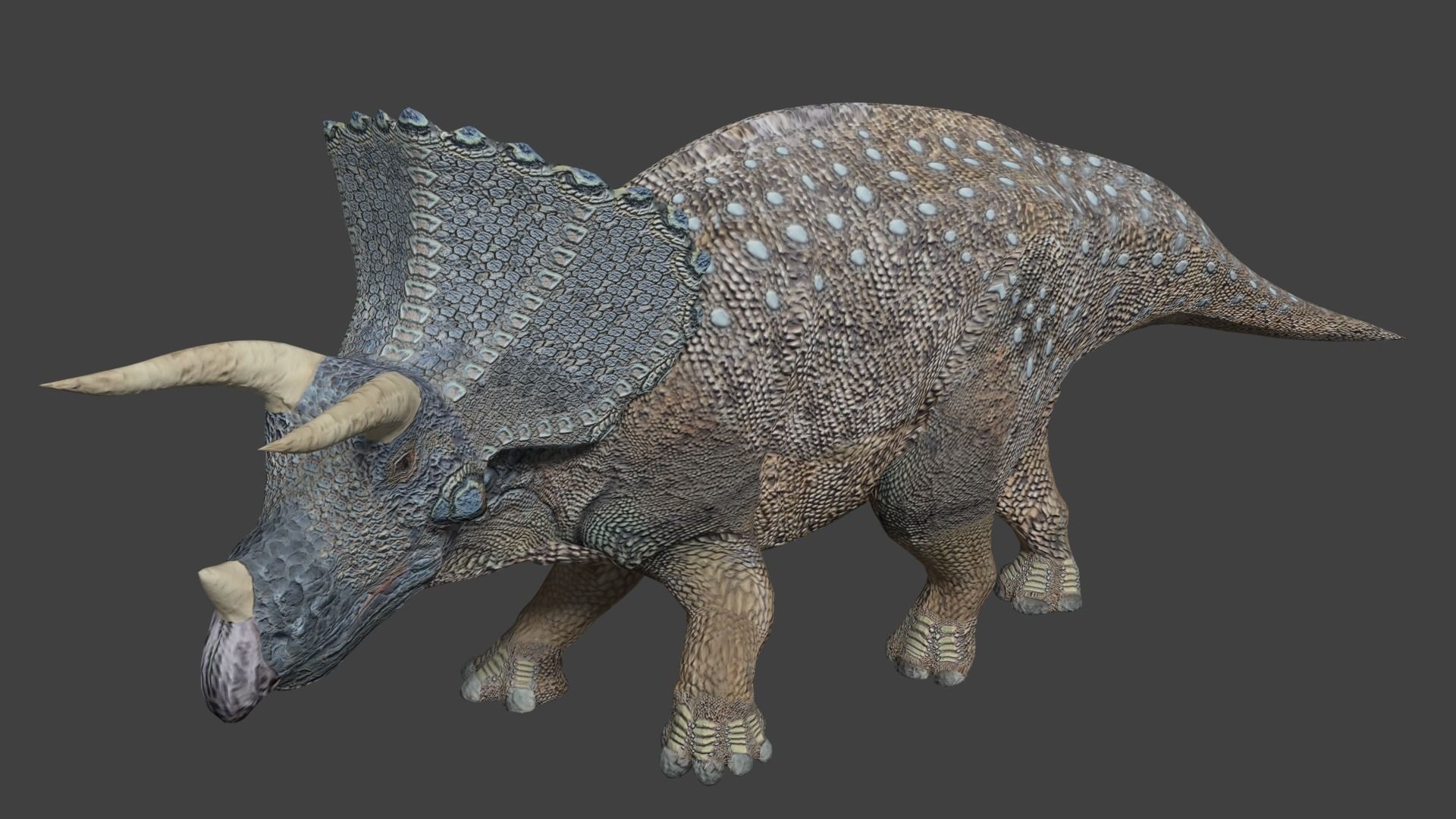 Triceratops dinosaur Low-poly 3D model_3