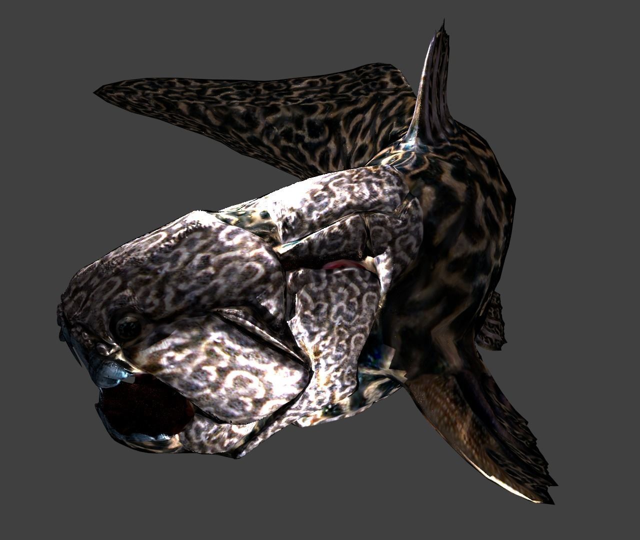 Dunkleosteus fish Low-poly 3D model_5