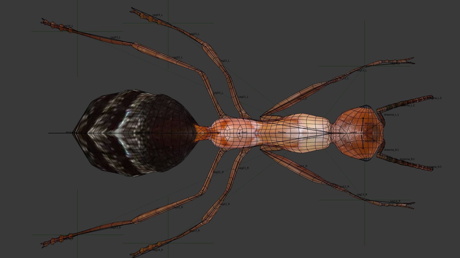 Blood-red ant 3D model_6