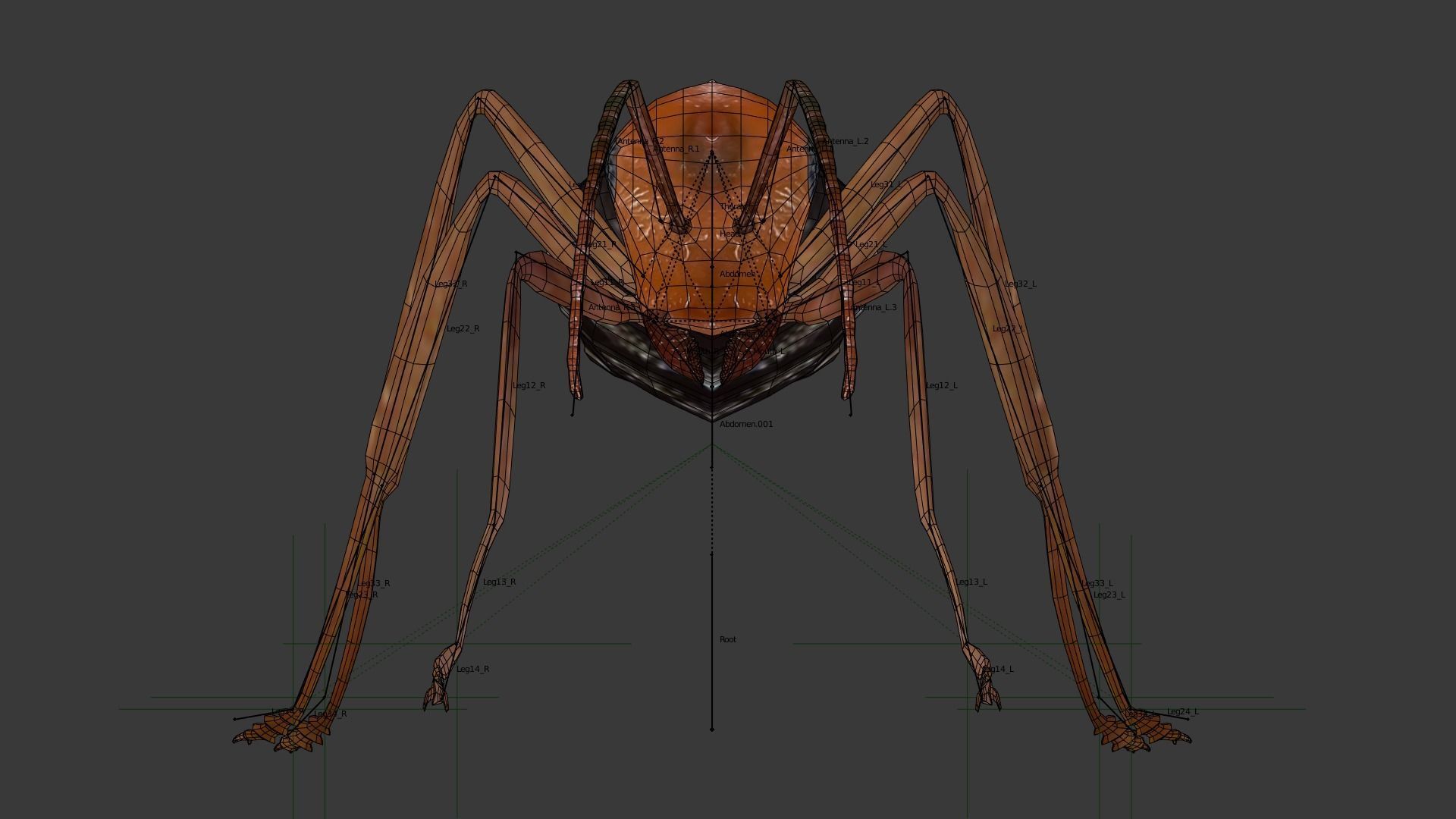 Blood-red ant 3D model_7
