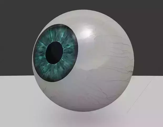 3d eye 3D print model