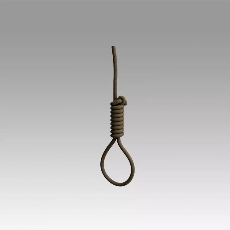 Hangman knot 3D model