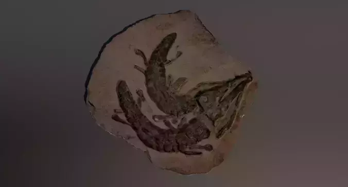 Realistic Crocodile Fossil 3D model