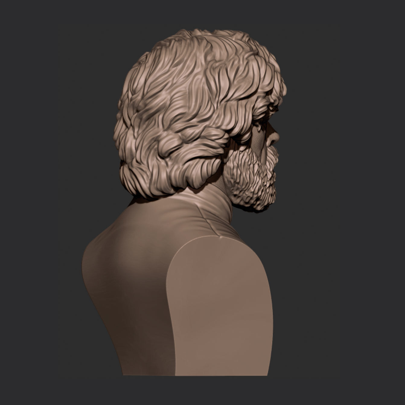 Tirion bust 3D print model_7