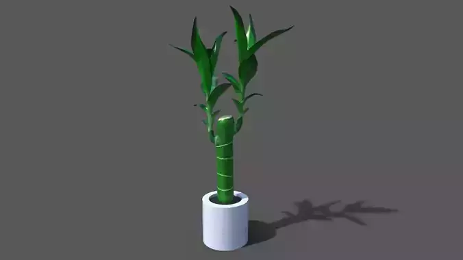 Dracaena fragrans pot plant Low-poly 3D model