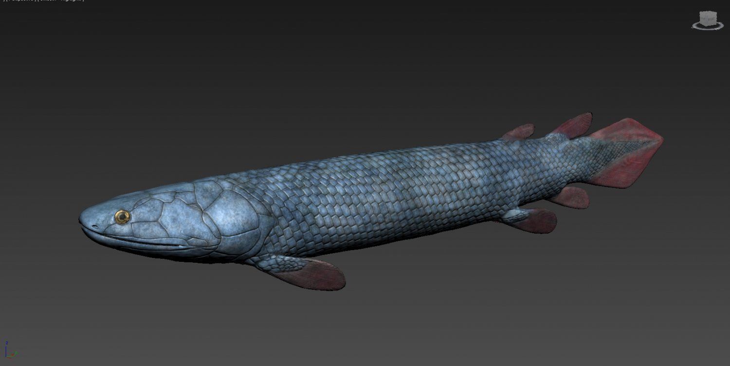 Gyroptychius california largemouth bass Low-poly 3D model_1