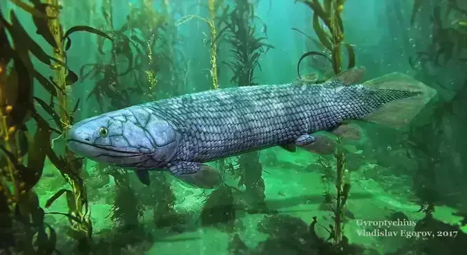 Gyroptychius california largemouth bass