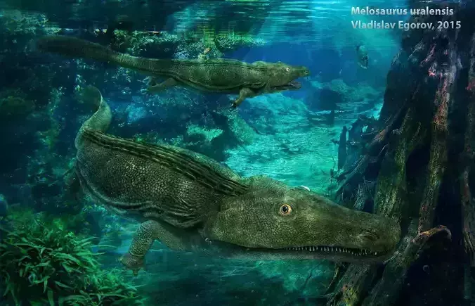 Melosaurus uralensis