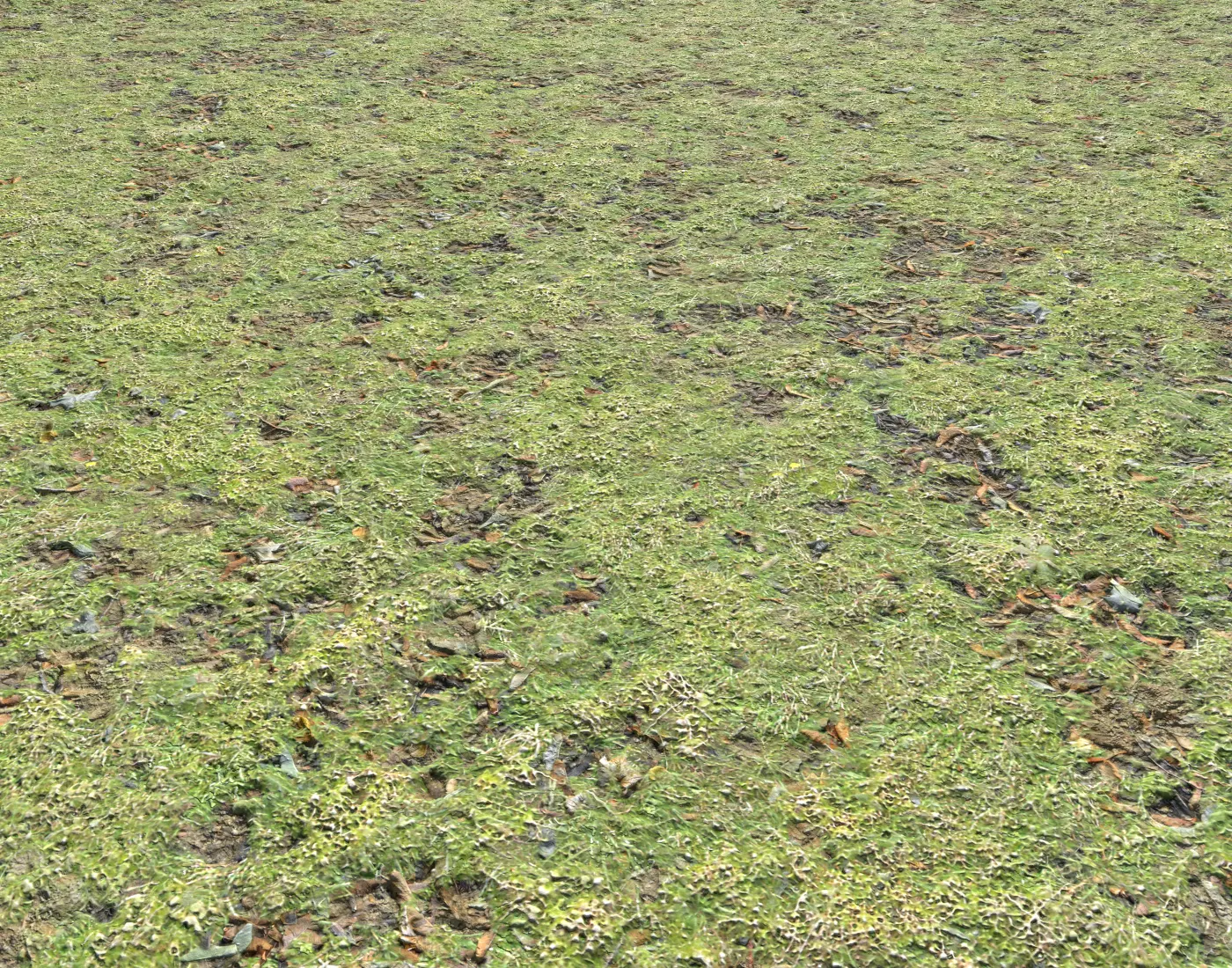 Grass and leaves terrain 15 Texture_0