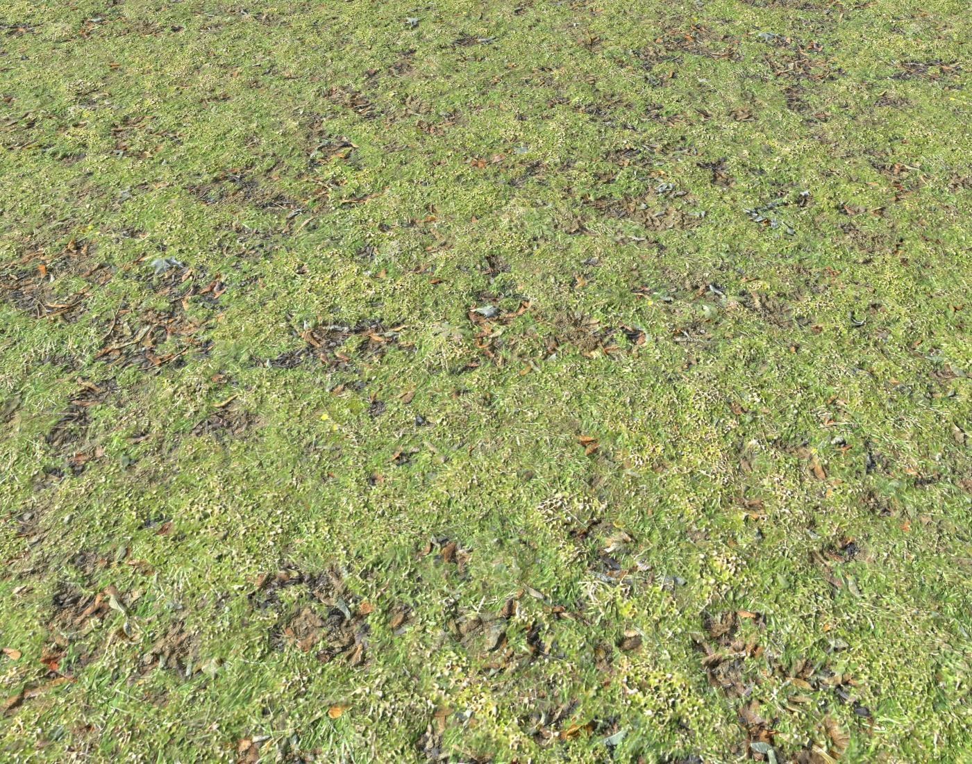 Grass and leaves terrain 15 Texture_3