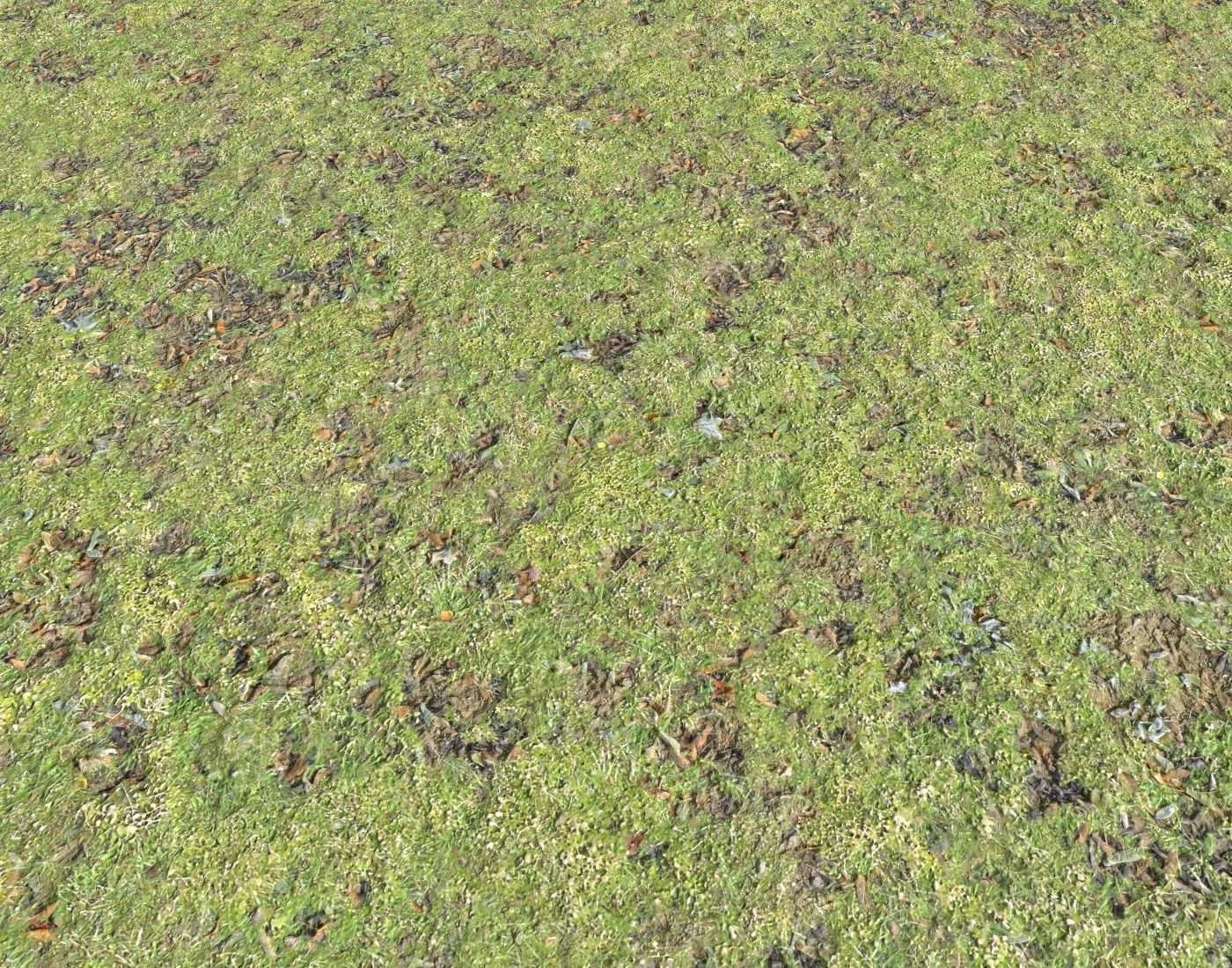 Grass and leaves terrain 15 Texture_4