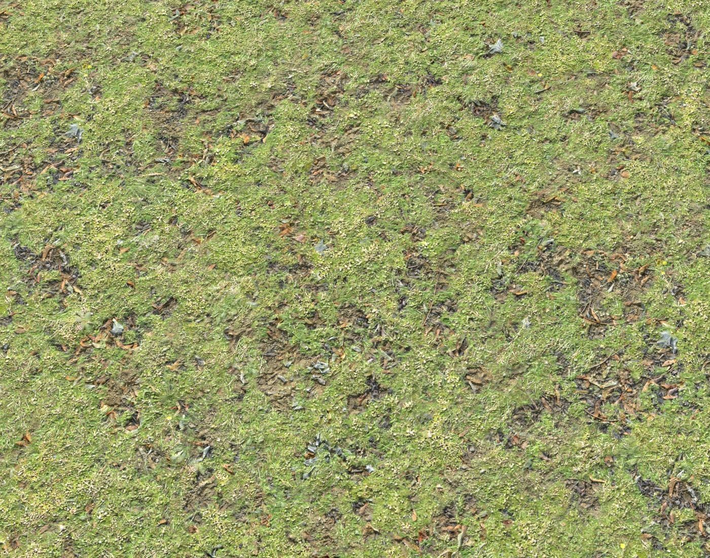 Grass and leaves terrain 15 Texture_5