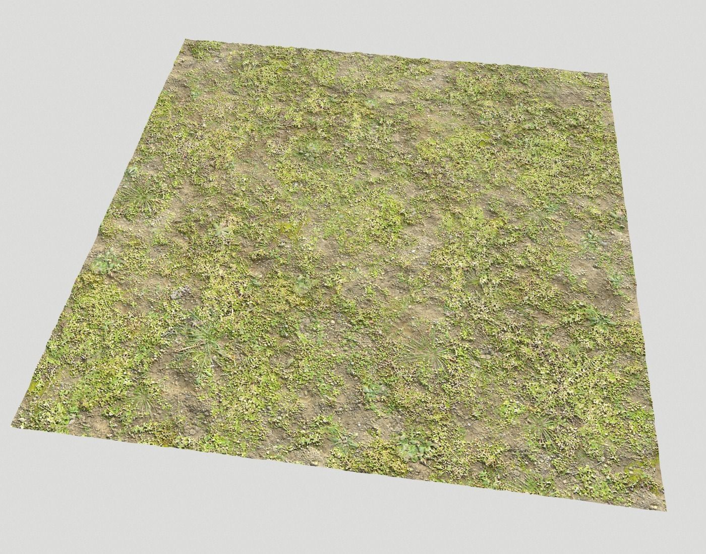 Grass and soil terrain 16 Texture_6