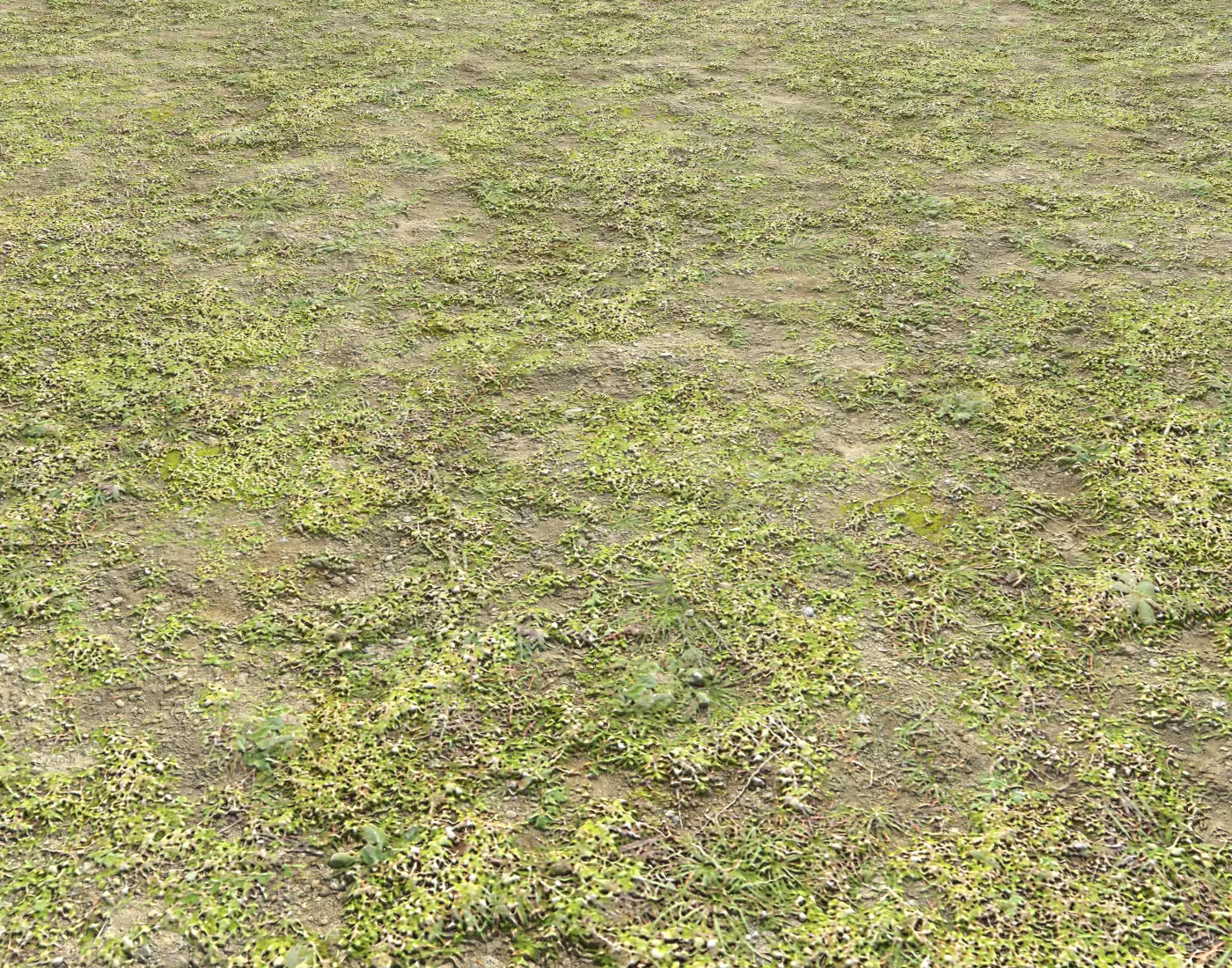 Grass and soil terrain 16 Texture_0