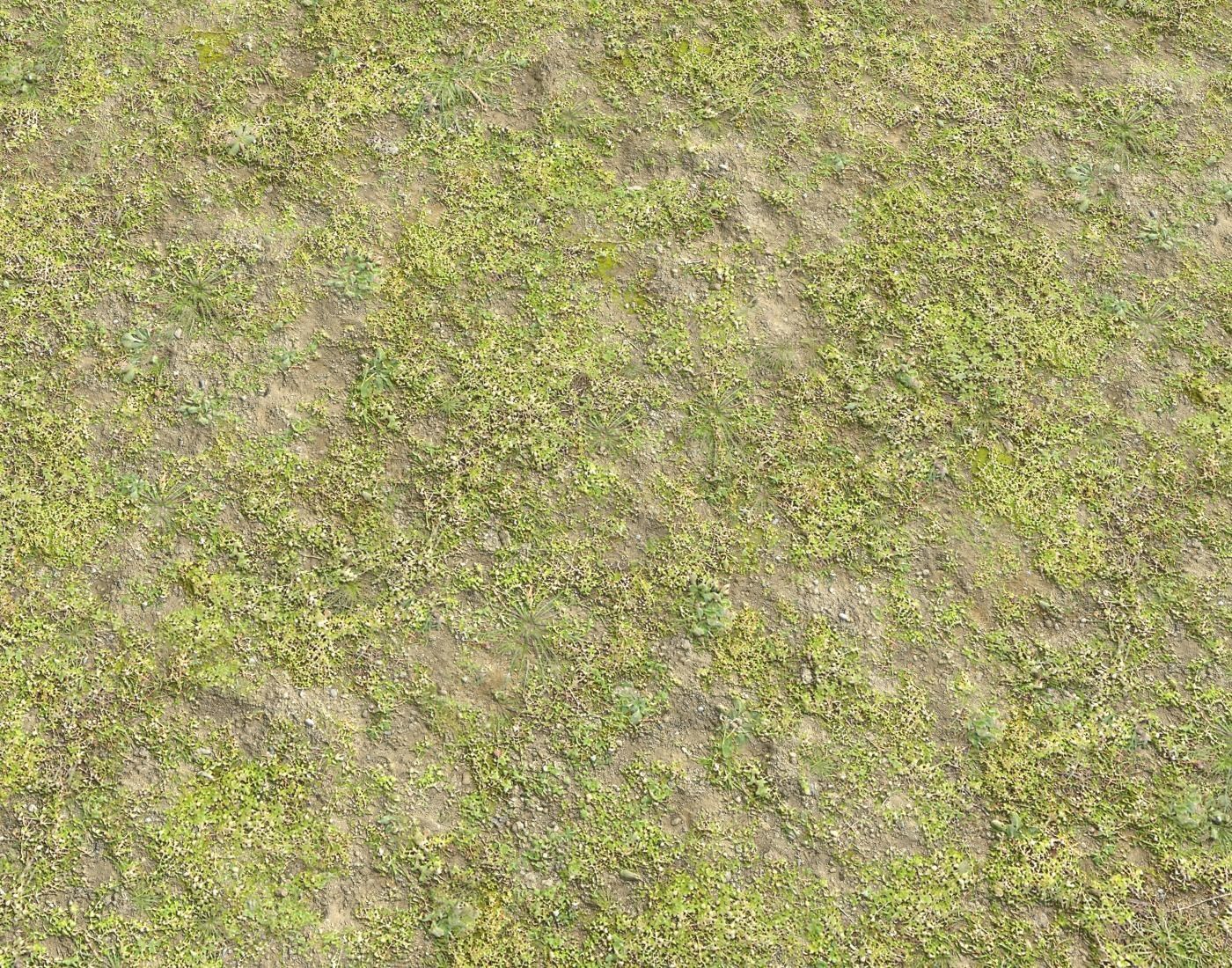 Grass and soil terrain 16 Texture_5