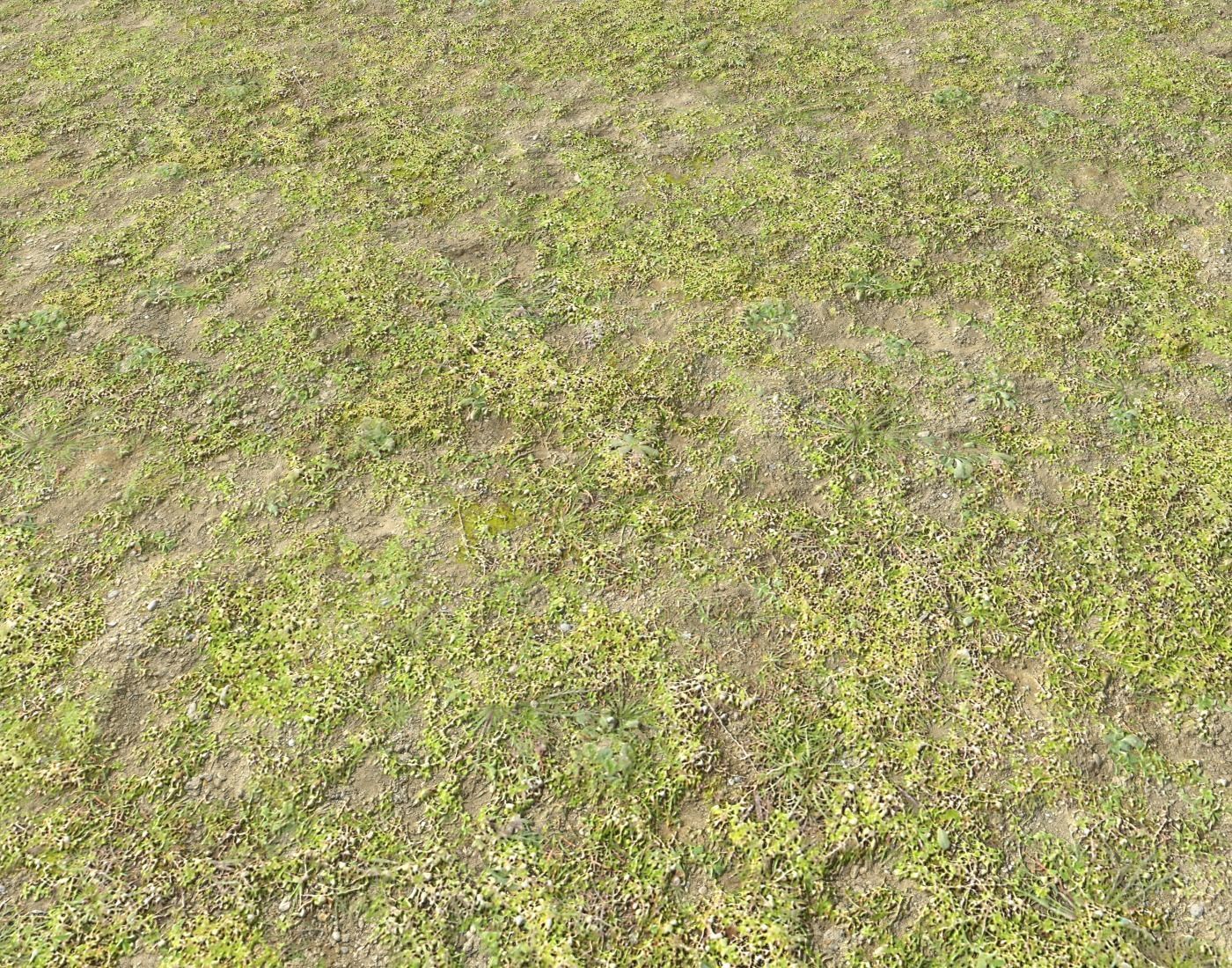 Grass and soil terrain 16 Texture_3