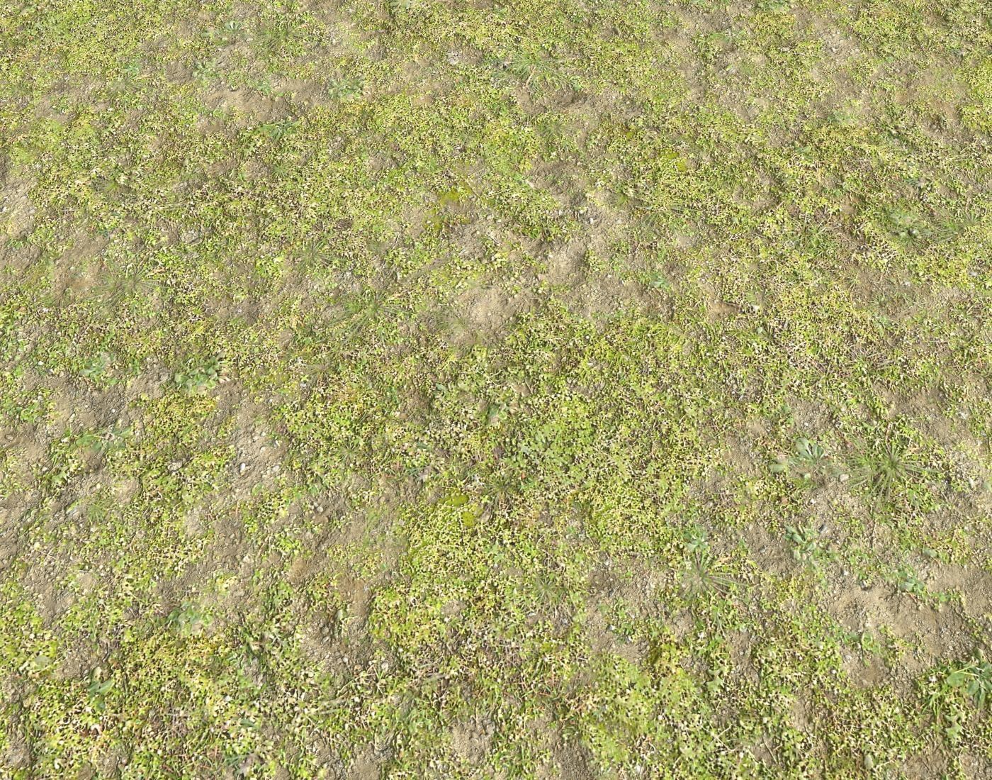 Grass and soil terrain 16 Texture_4