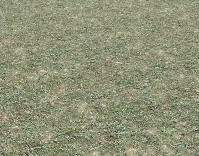 Grass and soil terrain 19