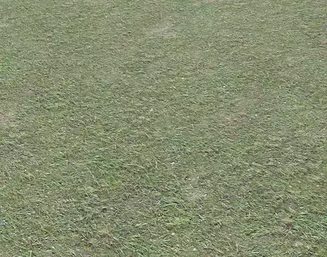 Grass and sand terrain 20