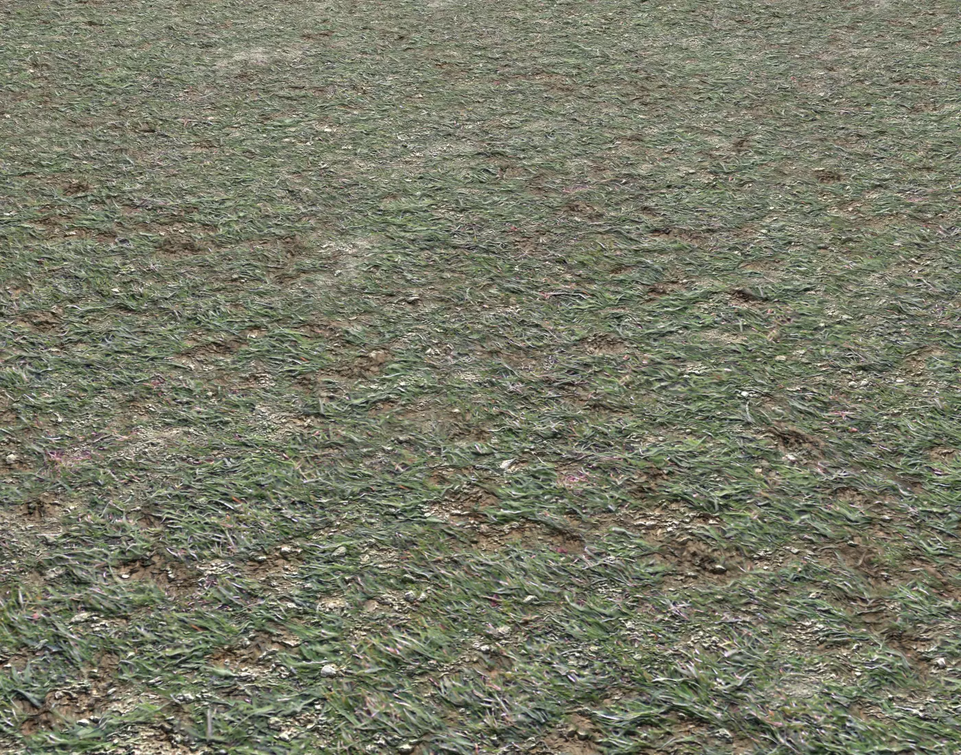 Grass gravel and soil terrain 21 Texture_0