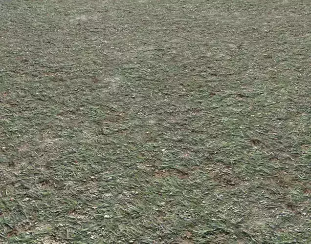 Grass gravel and soil terrain 21 Texture