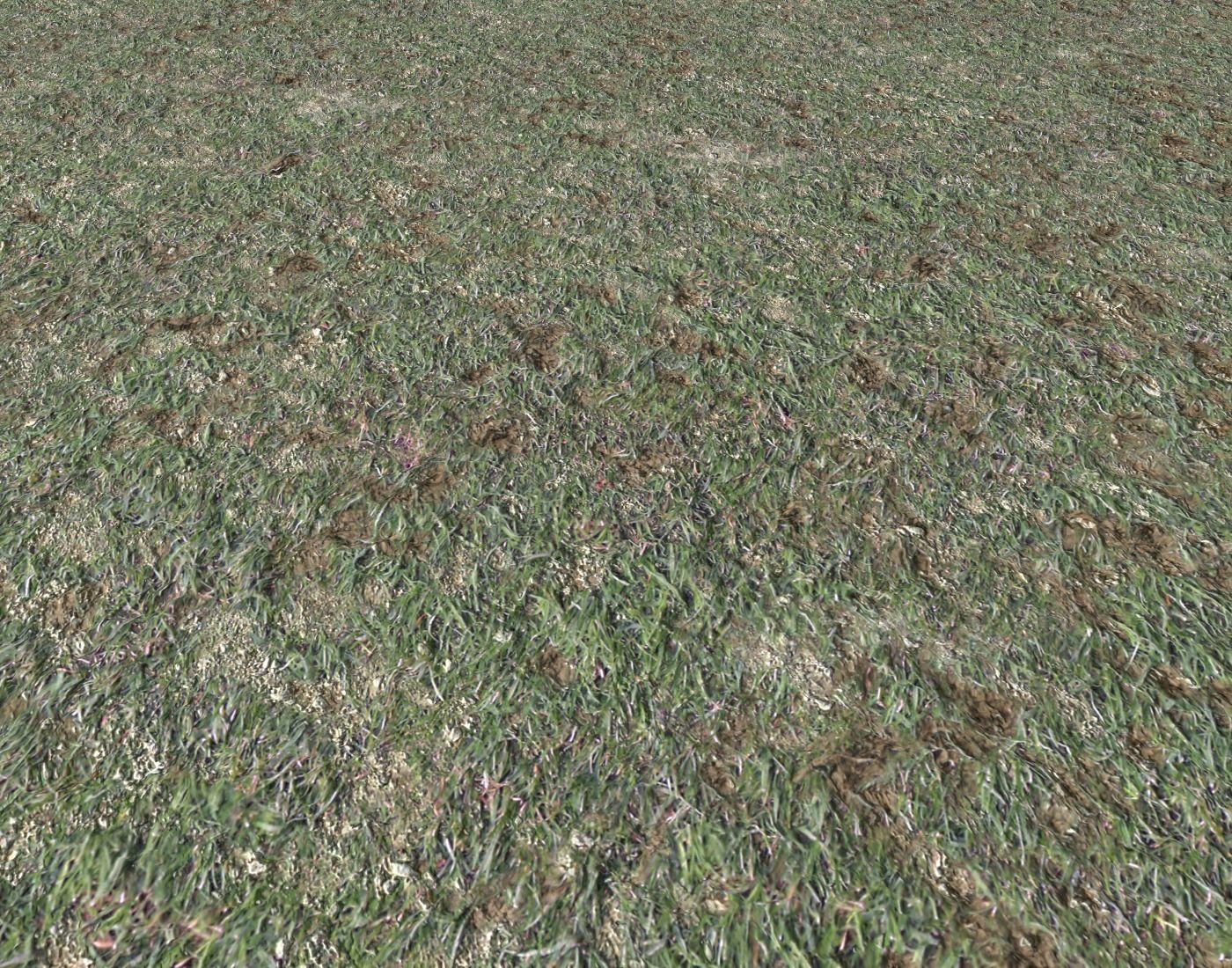 Grass gravel and soil terrain 21 Texture_3