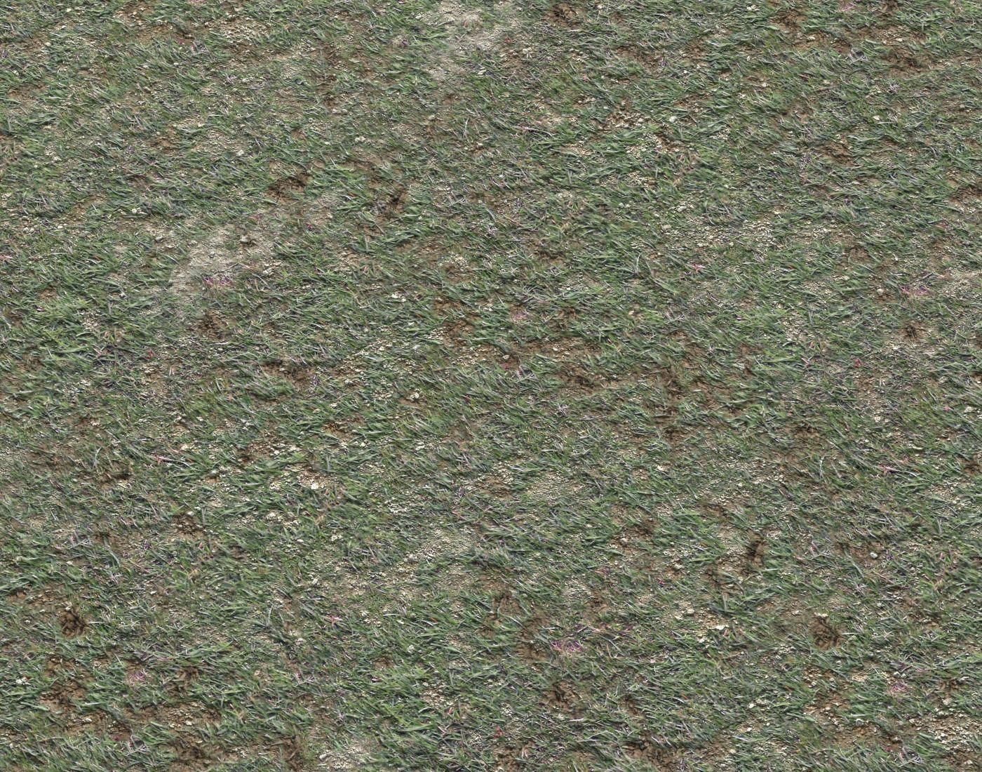 Grass gravel and soil terrain 21 Texture_5