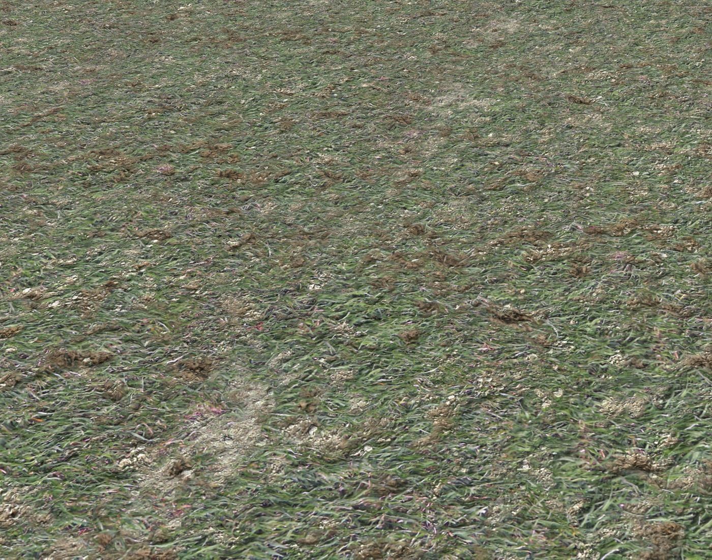 Grass gravel and soil terrain 21 Texture_4