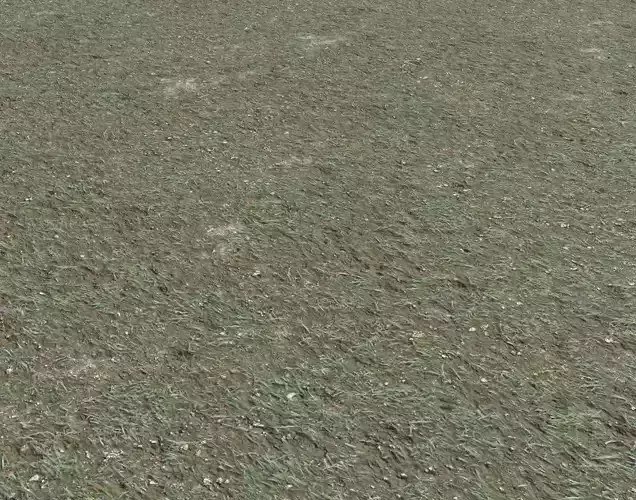 Grass gravel and soil terrain 22 Texture