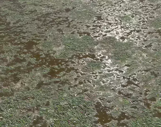 Grass mud and puddles terrain 23 Texture