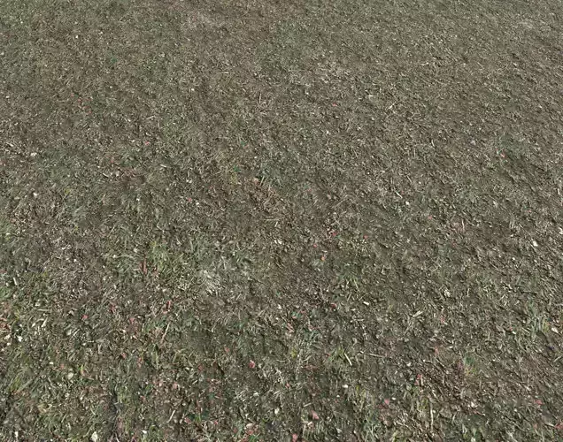 Grass soil and gravel terrain 24