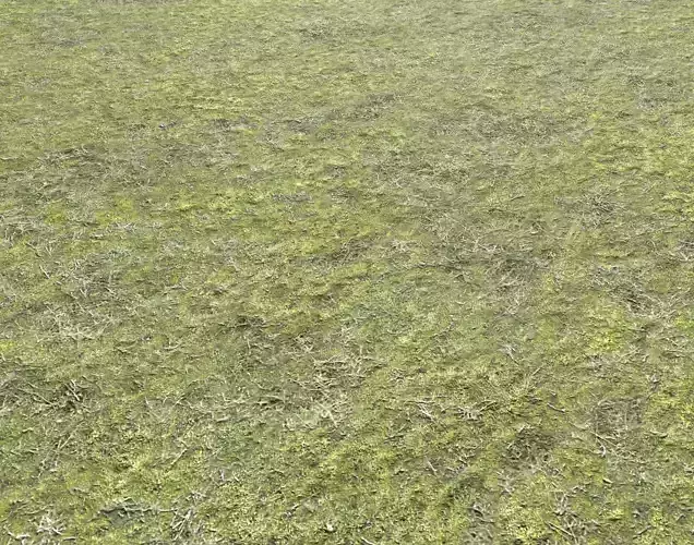 Mossy grass terrain 26