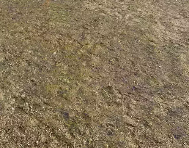 Muddy soil terrain 28