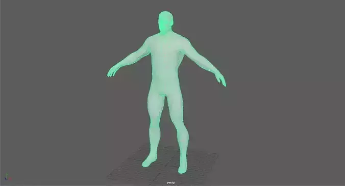 Human Base Mesh