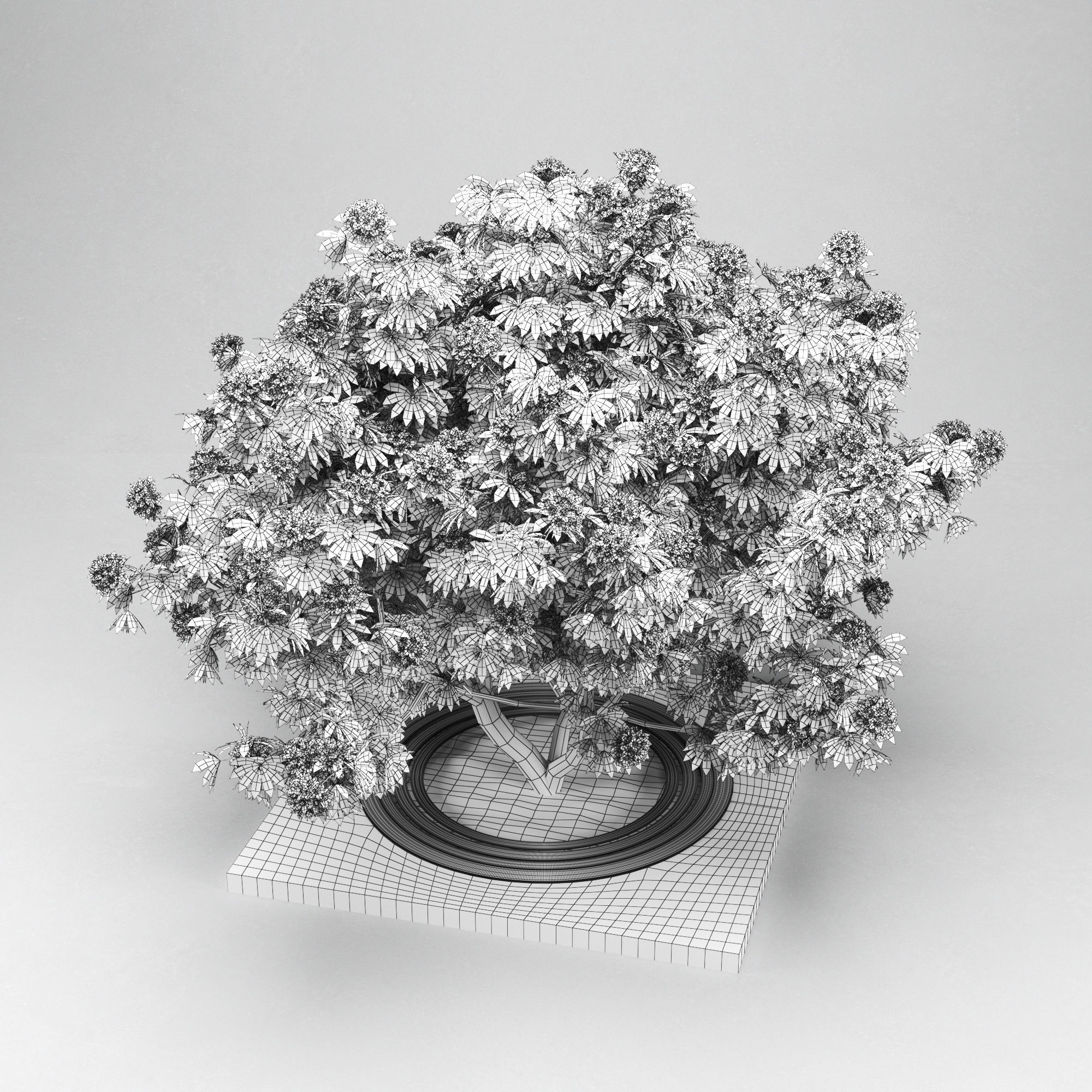 Rhododendron white 3D model_4