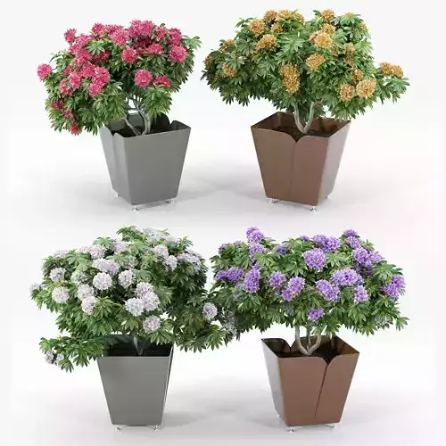 ADDICTED II BY AGENCE AKIRO CYRIA