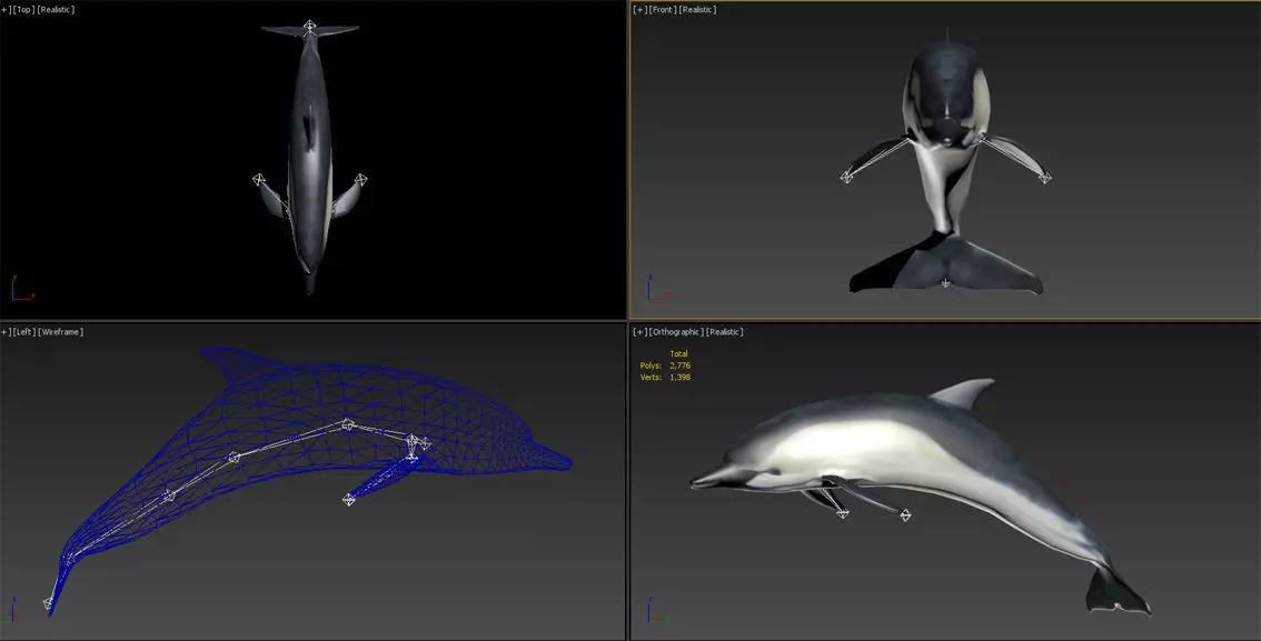 3DMAX model-dolphin binding animation 3D model_0