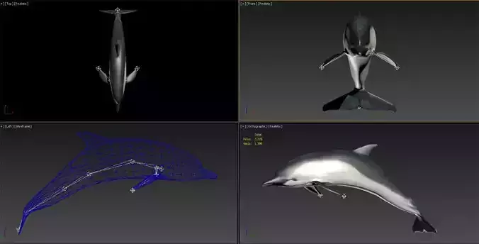 3DMAX model-dolphin binding animation 3D model