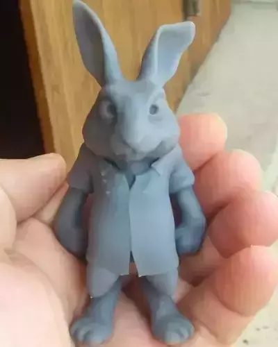 Rabbit ready to print