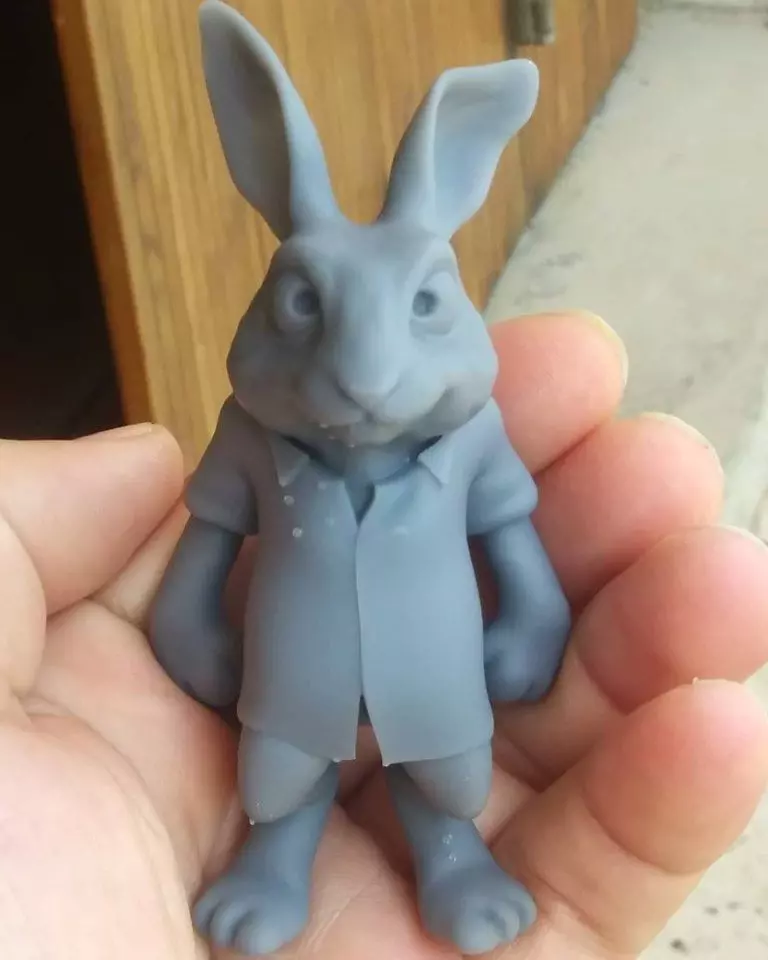 Rabbit ready to print 3D print model