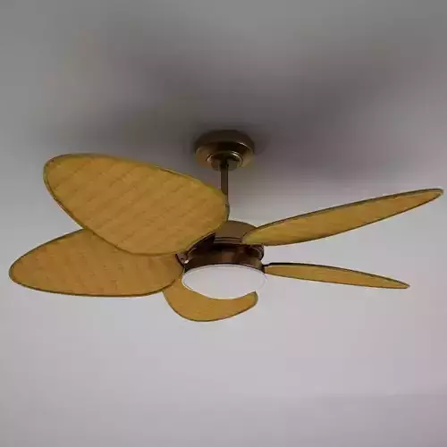 Fan 001