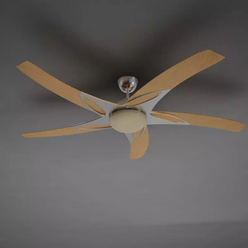 Fan 002 3D model_0