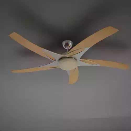 Fan 002