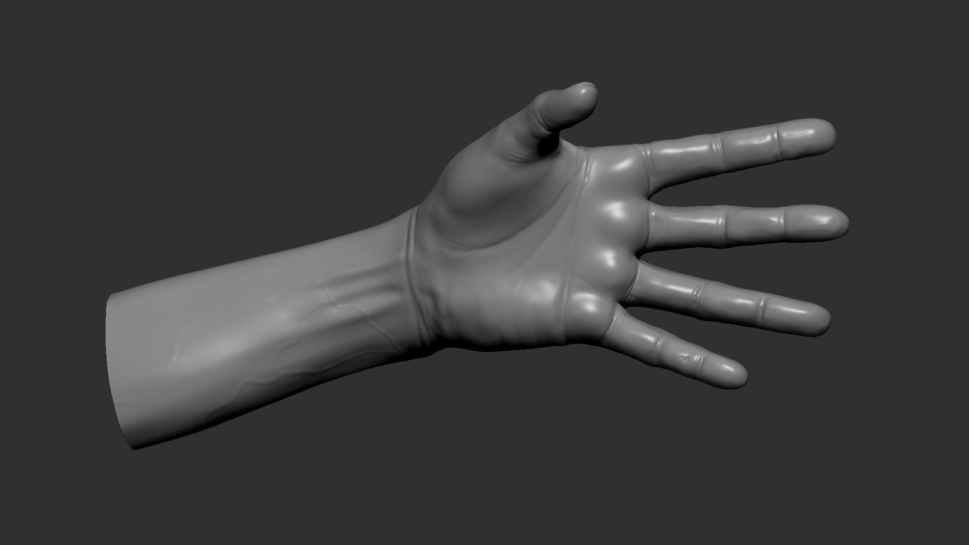 Hand model and sculpt 3D model_1